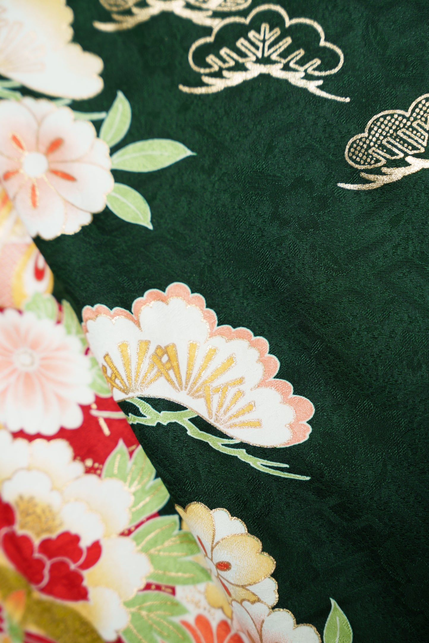 緑地　菊　貝桶　正絹振袖【898】
